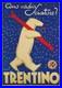 AFFICHE POSTER Trentino