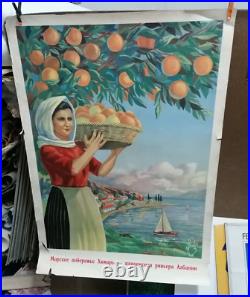 Affiche Ancienne Tourisme Albanie Femme Cueillant Des Orange