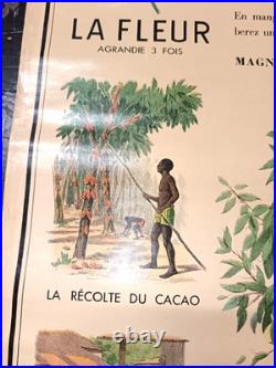 Affiche Chocolat Le Cacao Des Colonies Francaises Gaston Prost Vers 1920 Beau