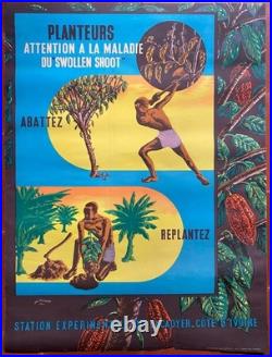 Affiche PLANTEURS ATTENTION Swollen Shoot Cacaoyer Afrique Côte d'Ivoire 50's