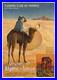 Affiche Poster Afrique Nord Maroc Algerie Tunisie