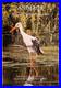 Affiche ancienne 1982 Exposition Animaux à Boulogne /RS555