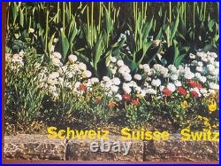 Affiche tourisme SUISSE INTERLAKEN Montagne Switzerland Schweiz 64x101cm 70's