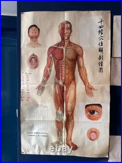 Ancienne Affiche planche anatomique acupuncture médecine chinoise anatomie x 9