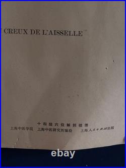 Ancienne Affiche planche anatomique acupuncture médecine chinoise anatomie x 9