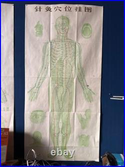 Ancienne Affiche planche anatomique acupuncture médecine chinoise anatomie x 9