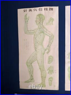 Ancienne Affiche planche anatomique acupuncture médecine chinoise anatomie x 9