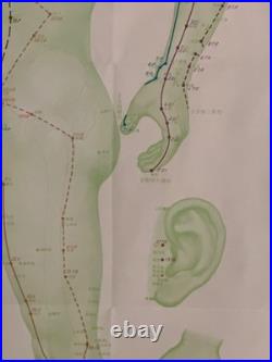 Ancienne Affiche planche anatomique acupuncture médecine chinoise anatomie x 9