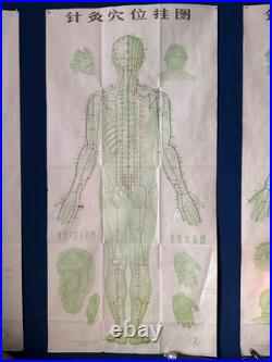 Ancienne Affiche planche anatomique acupuncture médecine chinoise anatomie x 9