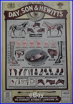 Médecine du cheval DAY SON & HEWITT'S HORSE CHART AFFICHE ORIGINALE ANCIENNE/545