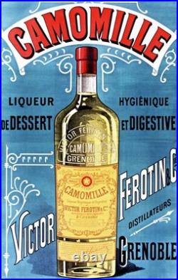 Poster Affiche Camomille Victor Ferotin Grenoble
