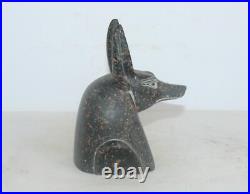 Rare ancienne statue égyptienne ancienne de tête d'Anubis dieu de la momifica